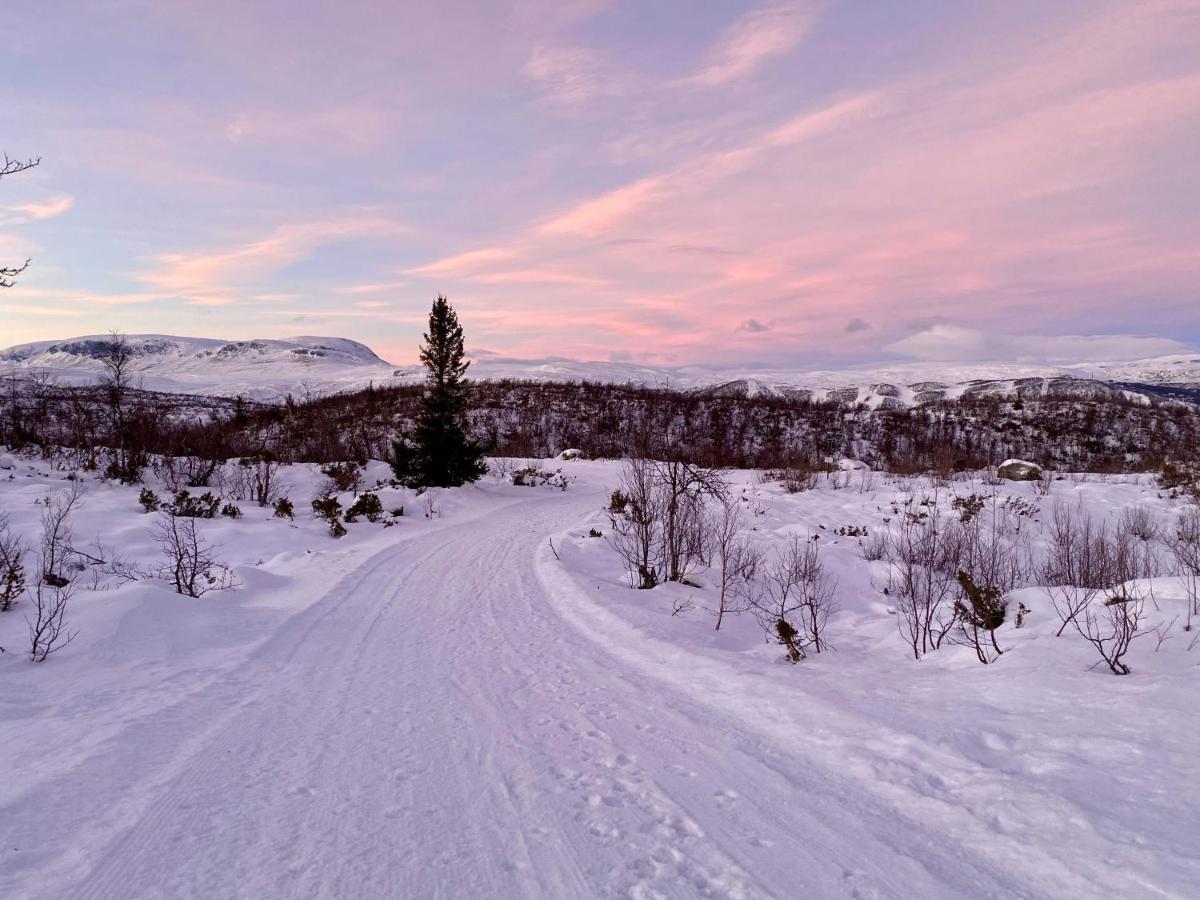 فندق Hakkesetstolen Fjellstugu يالو المظهر الخارجي الصورة